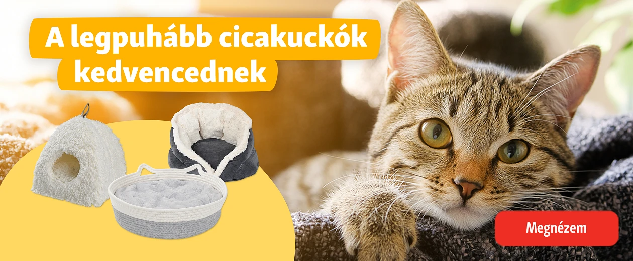 https://www.fressnapf.hu/termekkategoria/macska/fekhelyek-macska