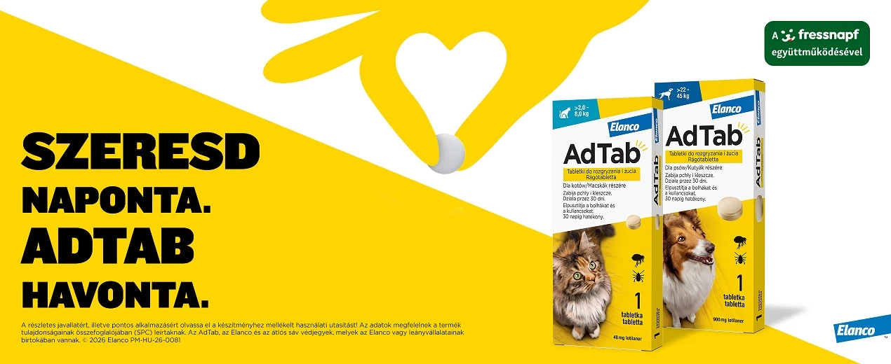 Állatfelszerelés és Állateledel Webshop - Fressnapf Webáruház