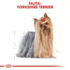 Royal Canin Breed Health Nutrition Yorkshire terrier adult száraz kutyaeledel 1,5kg