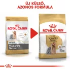 Royal Canin Breed Health Nutrition Yorkshire terrier adult száraz kutyaeledel 1,5kg