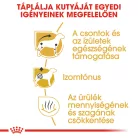 Royal Canin Breed Health Nutrition Tacskó adult száraz kutyaeledel 1,5kg