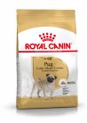 Royal Canin Breed Health Nutrition Mopsz adult száraz kutyaeledel 1,5kg