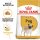 Royal Canin Breed Health Nutrition Mopsz adult száraz kutyaeledel 1,5kg