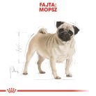 Royal Canin Breed Health Nutrition Mopsz adult száraz kutyaeledel 1,5kg