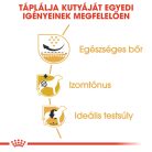 Royal Canin Breed Health Nutrition Mopsz adult száraz kutyaeledel 1,5kg