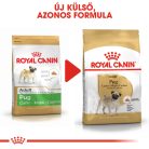 Royal Canin Breed Health Nutrition Mopsz adult száraz kutyaeledel 1,5kg