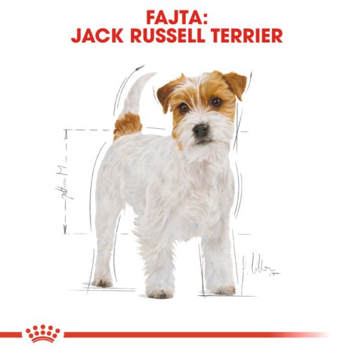 Royal Canin Breed Health Nutrition Jack Russell terrier száraz kutyaeledel adult 1,5kg