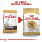 Royal Canin Breed Health Nutrition Jack Russell terrier száraz kutyaeledel adult 1,5kg