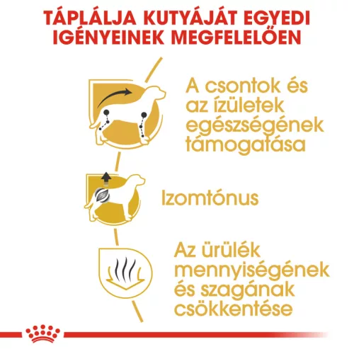 Royal Canin Breed Health Nutrition Tacskó adult száraz kutyaeledel 500g