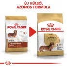 Royal Canin Breed Health Nutrition Tacskó adult száraz kutyaeledel 500g