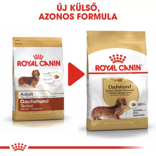 Royal Canin Breed Health Nutrition Tacskó adult száraz kutyaeledel 500g