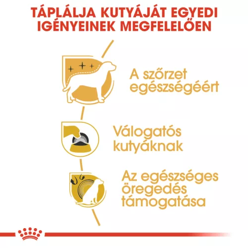Royal Canin Breed Health Nutrition Yorkshire terrier adult száraz kutyaeledel 500g