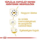 Royal Canin Breed Health Nutrition Csivava adult száraz kutyaeledel 500g