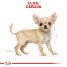 Royal Canin Breed Health Nutrition Csivava száraz kutyaeledel junior 500g