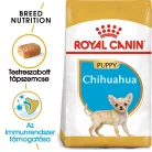 Royal Canin Breed Health Nutrition Csivava száraz kutyaeledel junior 500g