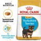 Royal Canin Breed Health Nutrition Yorkshire terrier puppy száraz kutyaeledel 500g