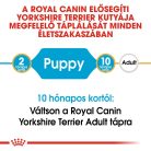 Royal Canin Breed Health Nutrition Yorkshire terrier puppy száraz kutyaeledel 500g