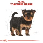 Royal Canin Breed Health Nutrition Yorkshire terrier puppy száraz kutyaeledel 500g