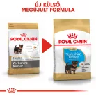 Royal Canin Breed Health Nutrition Yorkshire terrier puppy száraz kutyaeledel 500g