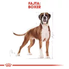 Royal Canin Breed Health Nutrition Boxer adult száraz kutyaeledel 12kg