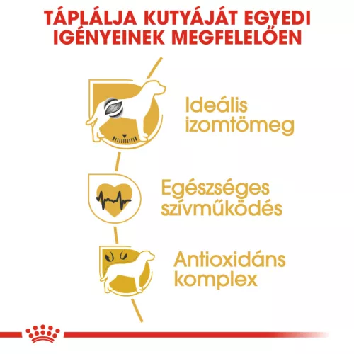 Royal Canin Breed Health Nutrition Boxer adult száraz kutyaeledel 12kg