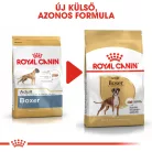 Royal Canin Breed Health Nutrition Boxer adult száraz kutyaeledel 12kg