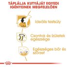 Royal Canin Breed Health Nutrition Labrador Retriever adult száraz kutyaeledel 12kg