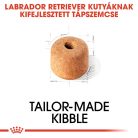 Royal Canin Breed Health Nutrition Labrador Retriever adult száraz kutyaeledel 12kg