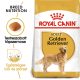 Royal Canin Breed Health Nutrition Golden Retriever adult száraz kutyaeledel 12kg