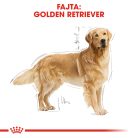 Royal Canin Breed Health Nutrition Golden Retriever adult száraz kutyaeledel 12kg