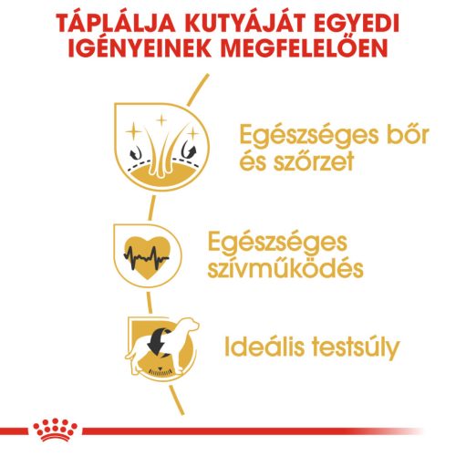 Royal Canin Breed Health Nutrition Golden Retriever adult száraz kutyaeledel 12kg