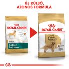 Royal Canin Breed Health Nutrition Golden Retriever adult száraz kutyaeledel 12kg