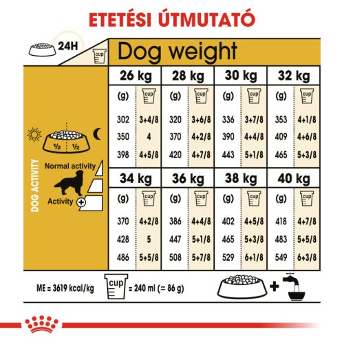 Royal Canin Breed Health Nutrition Golden Retriever adult száraz kutyaeledel 12kg