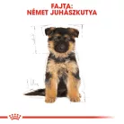 Royal Canin Breed Health Nutrition Németjuhász puppy száraz kutyaeledel 12kg