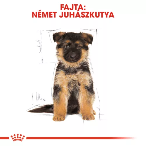 Royal Canin Breed Health Nutrition Németjuhász puppy száraz kutyaeledel 12kg
