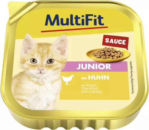 MultiFit macska tálka ragu junior csirke 16x100g