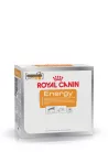 Royal Canin Energy kutya jutalomfalat 50g