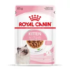 Royal Canin Feline Health Nutrition macska tasak kitten gravy 12x85g