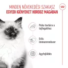 Royal Canin Feline Health Nutrition macska tasak kitten gravy 12x85g
