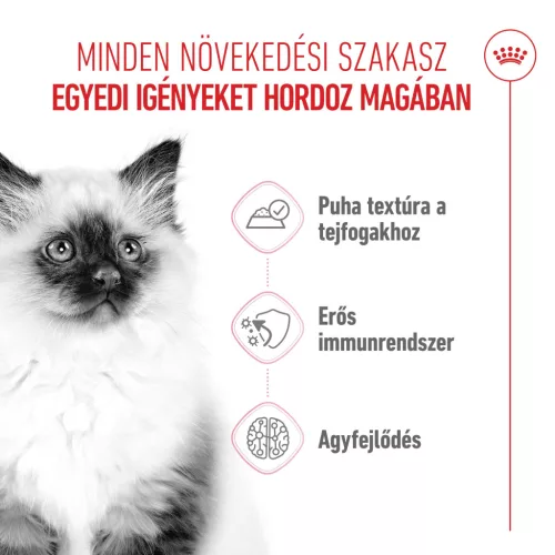 Royal Canin Feline Health Nutrition macska tasak kitten gravy 12x85g
