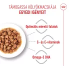 Royal Canin Feline Health Nutrition macska tasak kitten gravy 12x85g