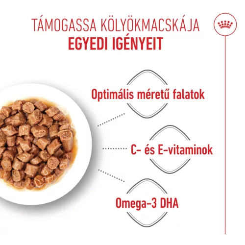 Royal Canin Feline Health Nutrition macska tasak kitten gravy 12x85g