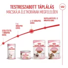 Royal Canin Feline Health Nutrition macska tasak kitten gravy 12x85g