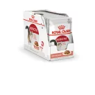 Royal Canin Feline Health Nutrition macska tasak adult Instinctive gravy 12x85g