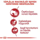 Royal Canin Feline Health Nutrition macska tasak adult Instinctive gravy 12x85g