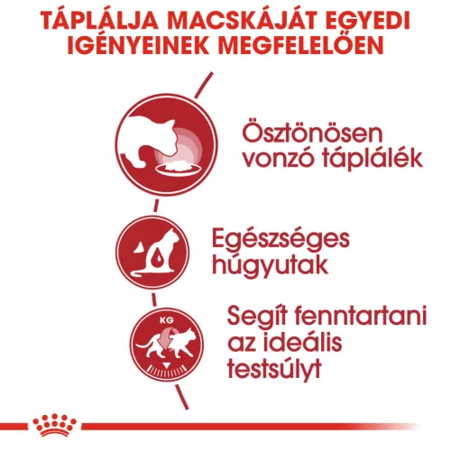 Royal Canin Feline Health Nutrition macska tasak adult Instinctive gravy 12x85g