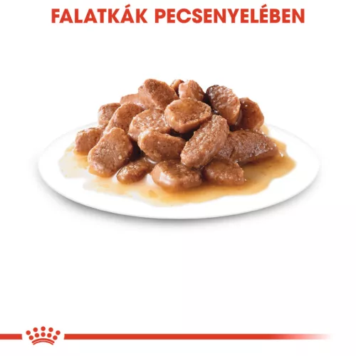 Royal Canin Feline Health Nutrition macska tasak adult Instinctive gravy 12x85g