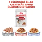 Royal Canin Feline Health Nutrition macska tasak adult Instinctive gravy 12x85g