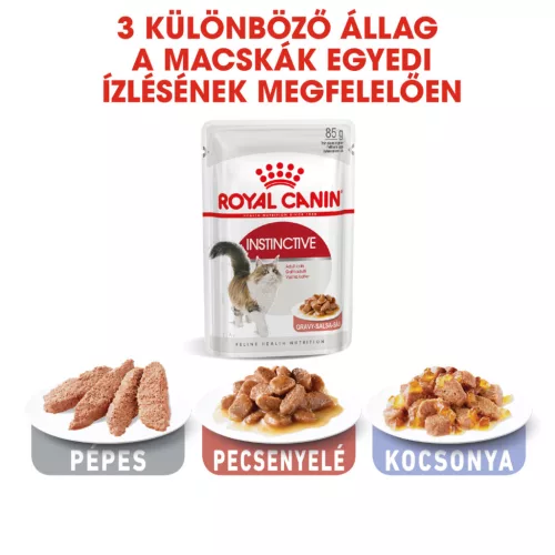 Royal Canin Feline Health Nutrition macska tasak adult Instinctive gravy 12x85g