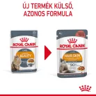 Royal Canin Feline Care Nutrition Intense Beauty macska tasak 12x85g